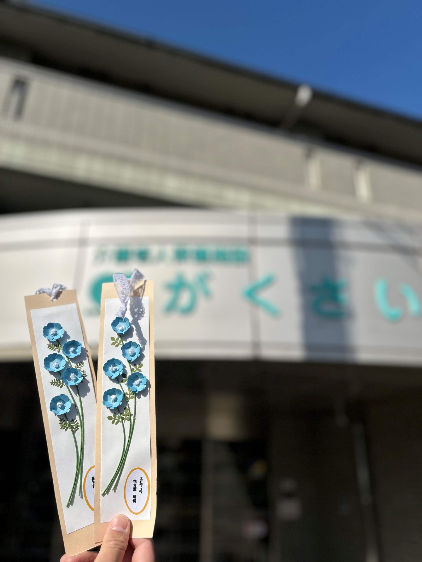 ネモフィラ
